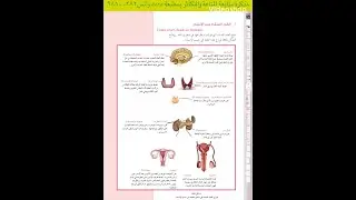 الهرمونات لدى الانسان - الدرس الرابع