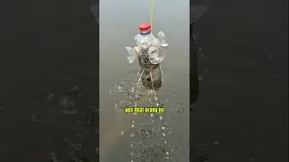 Trik menangkap ikan dengan botol #fishing #mancing #tricks #trikmancing #shorts #viralvideo