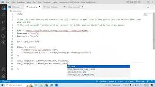 How to call API in PHP using CURL |  How to Develop API in PHP in Urdu / Hindi