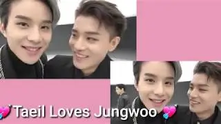 Nct - Taeil loves Jungwoo (jungil/juneil)