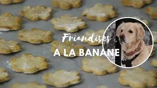 Tuto - Biscuits pour chien à la banane