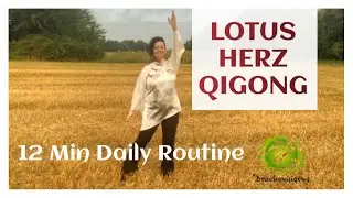 Lotus-Herz-Qigong 🌸 einfache tägliche Qigong Routine für Anfänger zum Mitüben