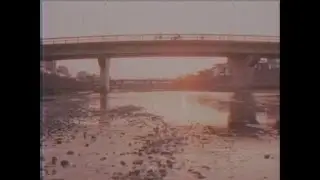 flughand - hylla