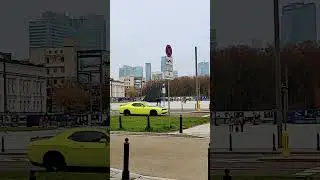ŚciGacz#chopin#piskorz#olivia#usa#biznes#music#automobile#shortvideo#shortsfeed#shorts#short#oliwia