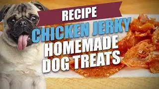 Chicken Jerky Homemade Dog Treats Recipe (Natural and Healthy)