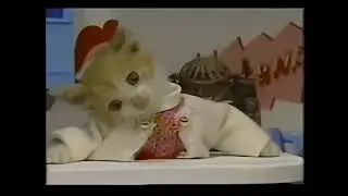 ガキの頃流行っていたもの① なめ猫「なめんなよ！」