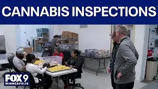 Inside Minnesota's cannabis safety checks