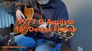 1977 D'Aquisto 16