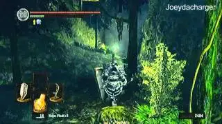 Dark Souls - How to Open Shiny Gate in Darkroot Garden