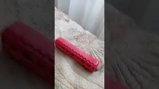20 февраля 2023 г.