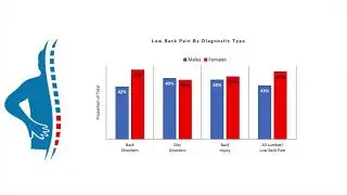 Low Back Pain | Trigger Points | Protective Mechanisms
