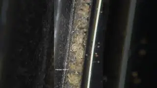 Smart phone under the microscope #microscope #science