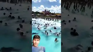 #waterpark #summer #travel #disney #fun #pigeon #facts #dove #bird #birds