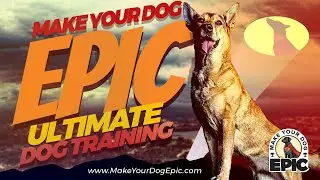 Dog Training Franchise | What Is the First Step You Must Take to Open a MakeYourDogEpic Franchise?
