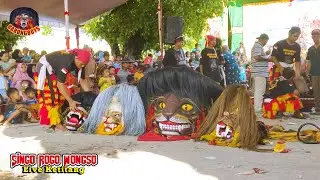 Ritual Pembukaan Barongan Galak Barongan di Kasih Makan Biar Ngamuk Singo RogoWongso live Ketitang