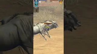 Hunting Sniper BULL'SEYE TOUR 15                 #gaming