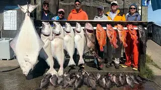 DRIFTWOOD CHARTERS COMBO MANIA - Multi Species Fishing Trips out of  Homer, Alaska