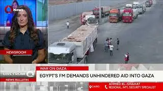 Egypt vows to hold Israel accountable for genocidal war: Int'l security specialist