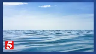 Middle TN company offering surfing lessons to keep you safe on the water this summer