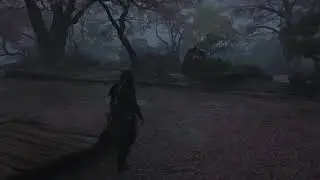 Rainy Night in Assassin's Creed Shadows