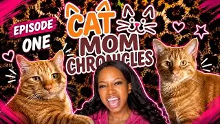 Cat Mom Chronicles EPISODE 1