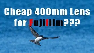 Cheap 400mm lens for Fujifilm? - Sigma 400 review + Sample Photos