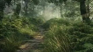 Sunlit Stone Path in Fern Forest: Peaceful Medieval Music
