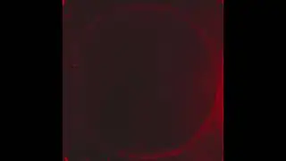 KILLTHEMALL - FIGHT IN THE DARK (Official Audio)