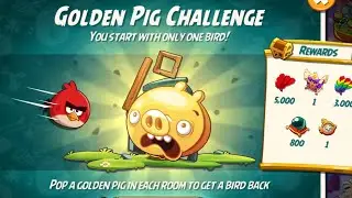 Angry Birds 2 Golden Pig Challenge Dec 17, 2025 TODAY! (All Rooms No Gems / With Red)
