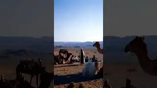 غزوۂ ودّان (ابواء) &mdash; 2 ہجری #GhazwaESafwan#BadrUlUla#NabiSAWS#IslamicShorts#Deen#YouTubeShorts