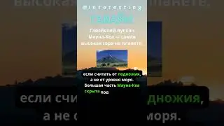 ФАКТЫ-ГАВАЙИ #facts #beats #interesting #music #shortvideo #factsshorts #interestingfacts