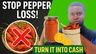 Turn Your Fresh Pepper Into Profit: Reduce Post Harvest Losses with This Simple Processing Method!