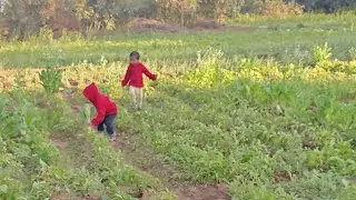 Meru & Mrigasya Exploring Vegetable Plants 🌿 | Twin Babies Learning Nature | Cute Baby Video
