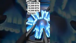 Should You Buy a BlueStar Platinum Range? #shorts