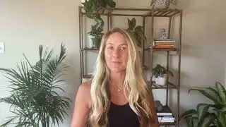Circadian biology explained with a simple analogy | CIRCADIAN HEALTH