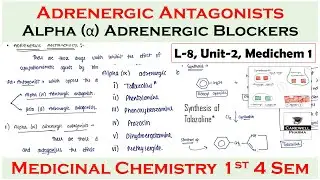 Adrenergic Antagonists || Alpha adrenergic blockers || L-8 U-2 || Medicinal chemistry 4th Sem