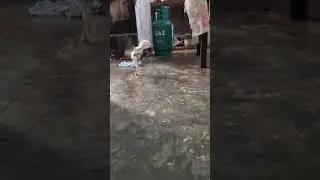 He is happy everytime I call his name.. 