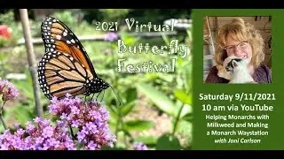 Helping Monarchs with Milkweed & Making a Monarch Waystation - WBG 2021 Virtual Butterfly Festival
