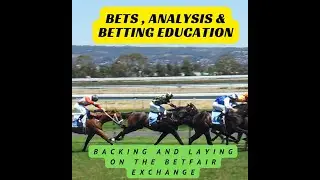 Horse Racing Tips for Australia, USA, UK, South Africa, France, and New Zealand