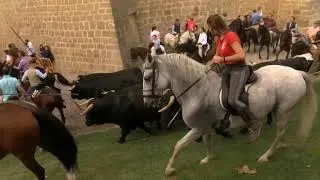 Marcilla celebra su tradicional feria de ganado