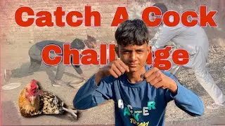CATCH A COCK CHALLENGE ||ये क्या हुआ मुर्ग़ा हाथ नहीं आया || 😩😱🐓