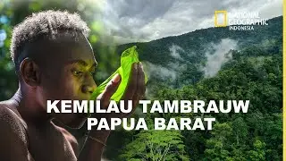 ПОТРЯСАЮЩИЙ БЛЕСК ТАМБРАУ