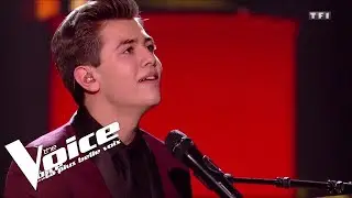 The Blues Brothers (Everybody needs somebody) | Raffi Arto | The Voice 2018 | Lives