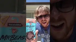 Hershey's vs  Feastables Round 2