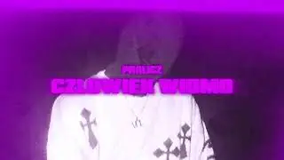 pralicz - CZŁOWIEK WIDMO