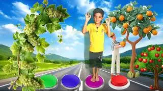 Realistic VFX Animals Animation | 3D CGI Wildlife Effects | VFX Short Film fruit animation