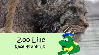 Zoo de Lille