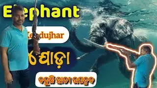 ବଢୁଛି ହାତୀ ଉପଦ୍ରବ /Elephant Barbil Kendujhar city public village views 