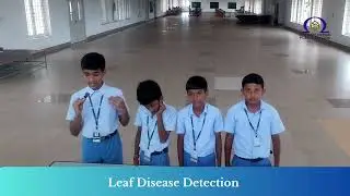 Leaf Disease Detection