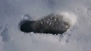 2026_01_18_Прогулка_в_зимнем_лесу_у_реки.